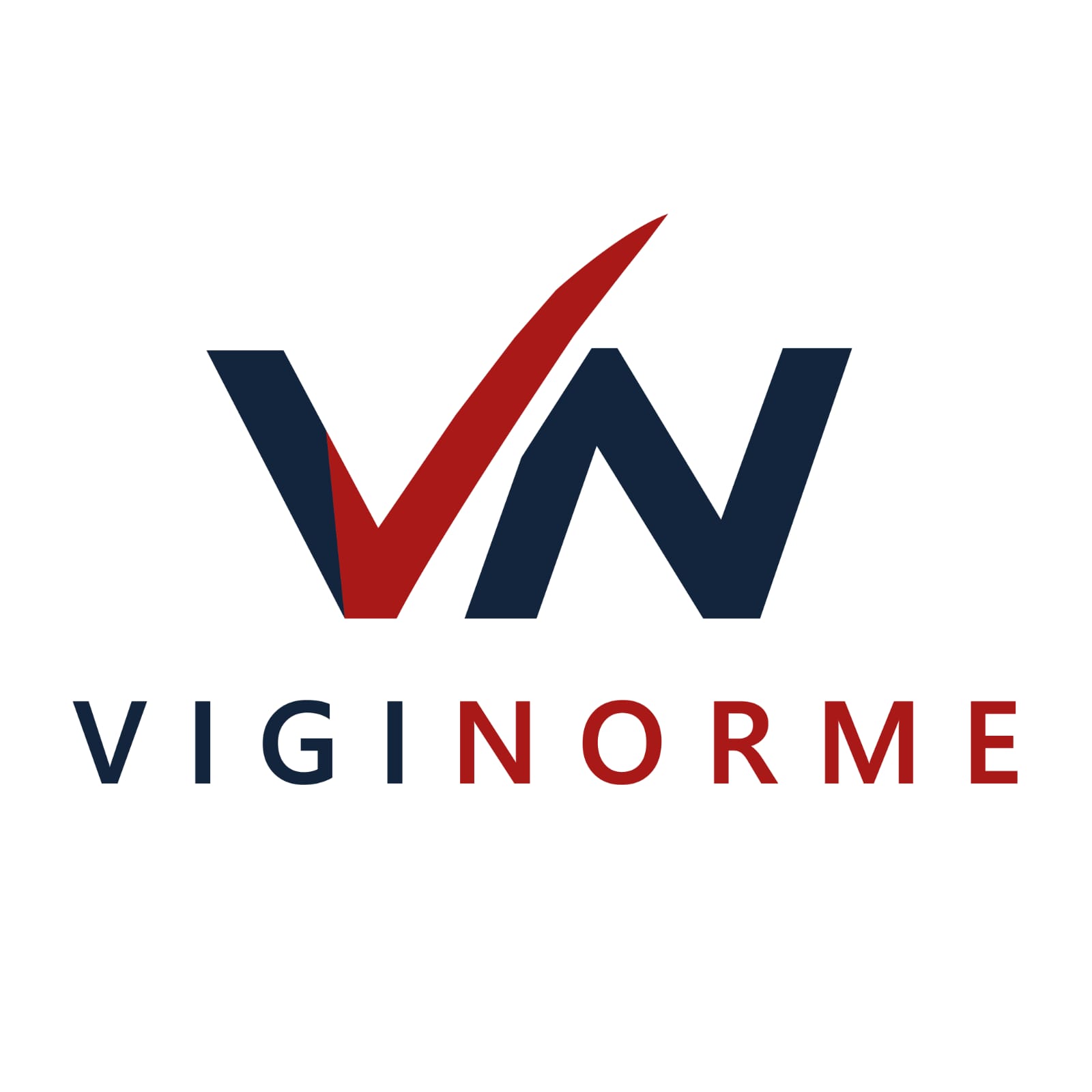 VIGINORME Background